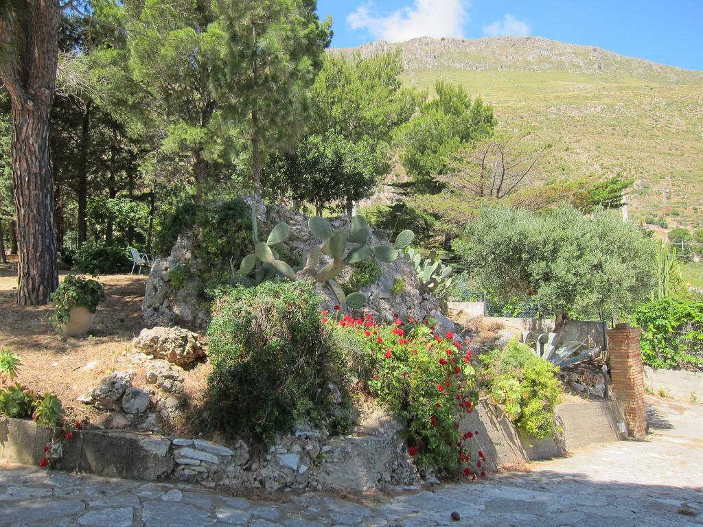 Villa Palms