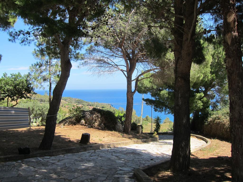 Villa Palms Scopello (Sicily)