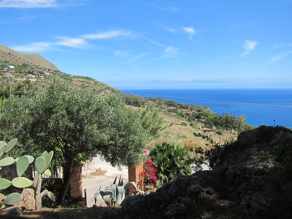 Palms Scopello (Sicily)