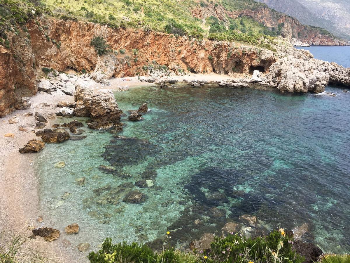 Palms * Scopello (Sicily)