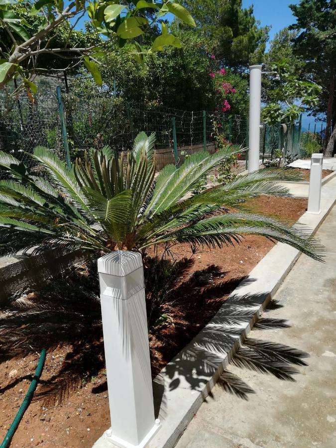 Palms Villa