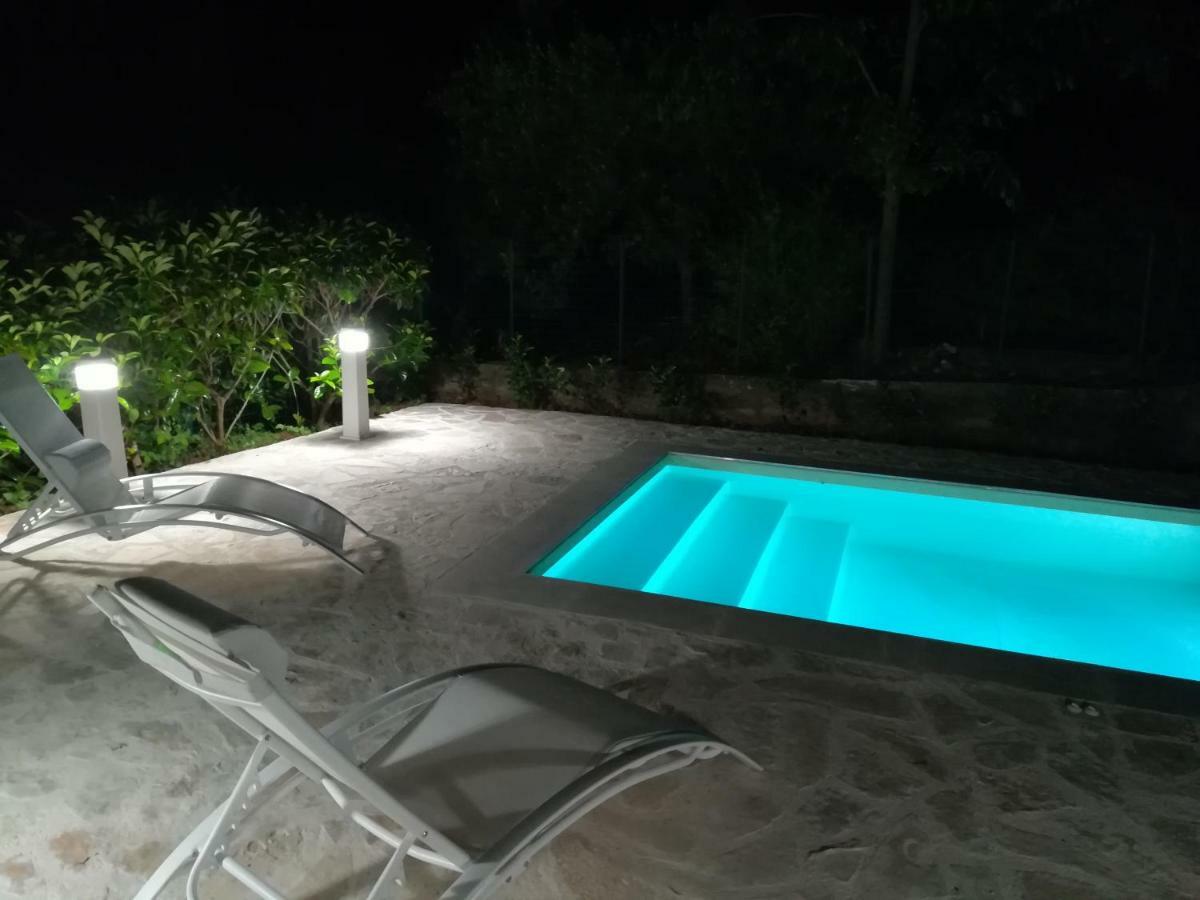 Palms * Scopello (Sicily)