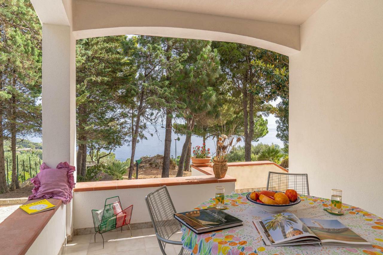 Palms Villa