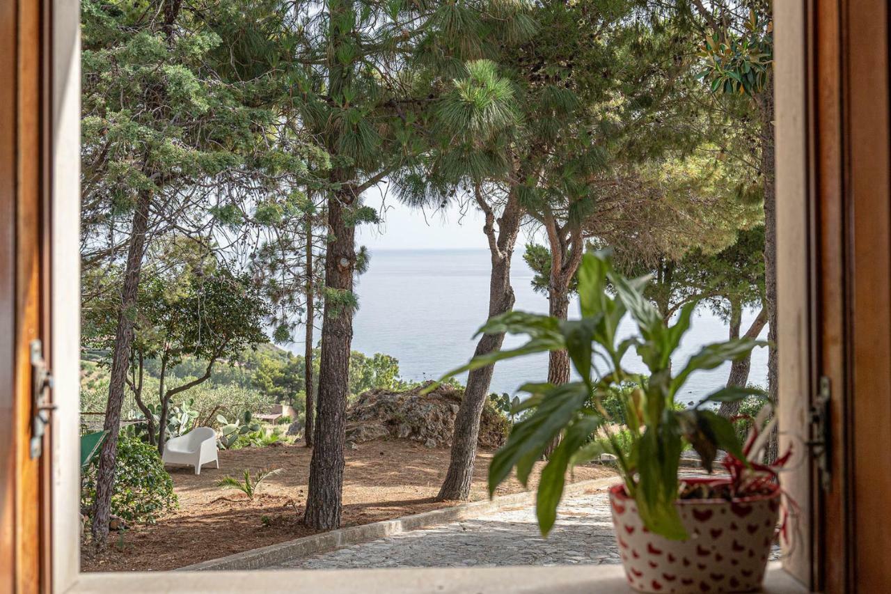 Palms Scopello (Sicily)