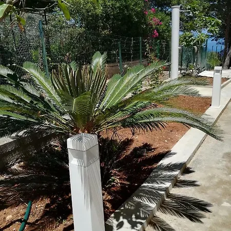 Palms Villa Scopello  Exterior photo